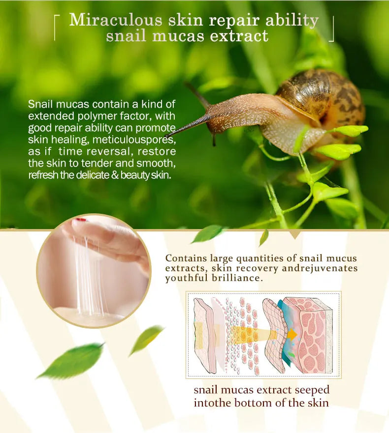 ARTISCARE Snail Repair & Peptide Facial Cream – 2PCS Moisturizing & Nourishing Skin Care Set