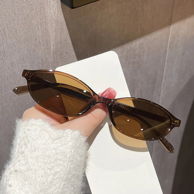 2025 Women’s Leopard Brown Sunglasses – Retro Oval Small Frame Fashion Eyewear