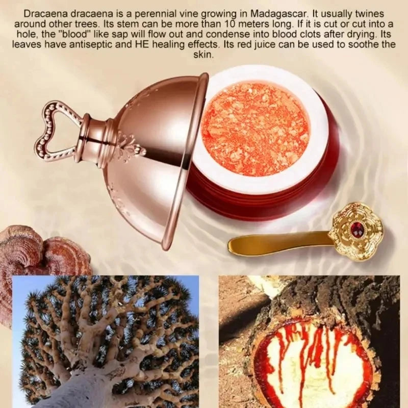 Dragon’s Blood Face Cream – Retinol & Placenta Essence | Brightening, Lifting, Firming Korean Skincare